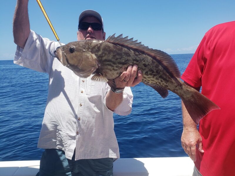 Florida Fishing Charter in Panama City