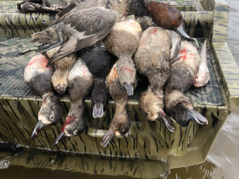 Central Florida Guided Duck Hunt