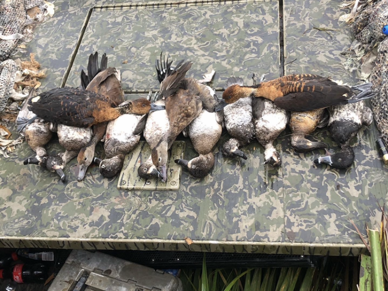 Central Florida Guided Duck Hunt