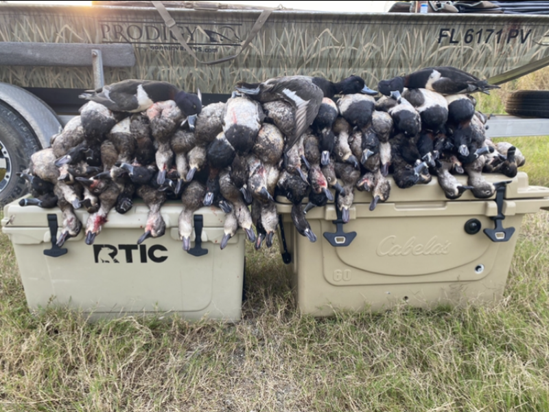 Central Florida Guided Duck Hunt