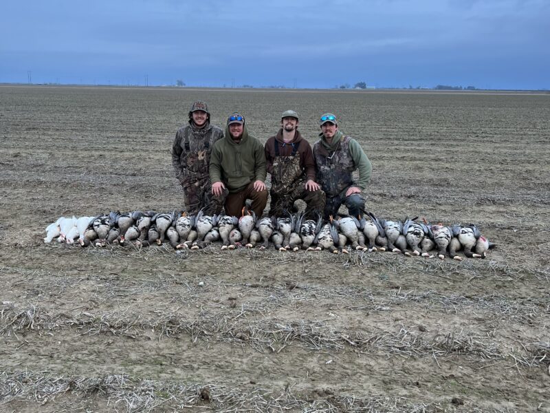 Arkansas Goose Hunts B² Guide Service