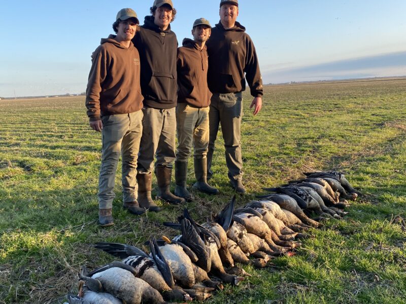 Arkansas Goose Hunts B² Guide Service