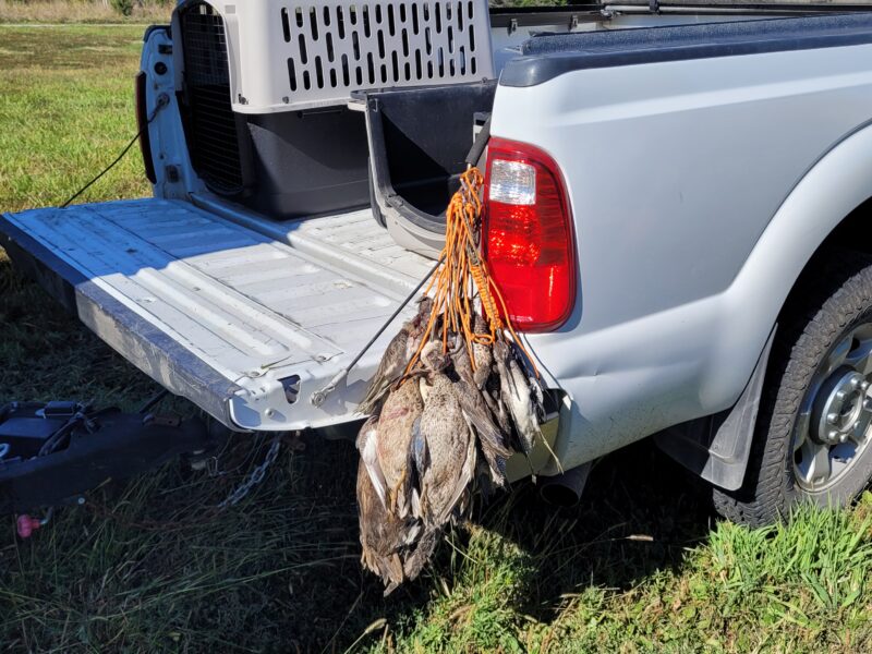 Nebraska Early Teal Hunts