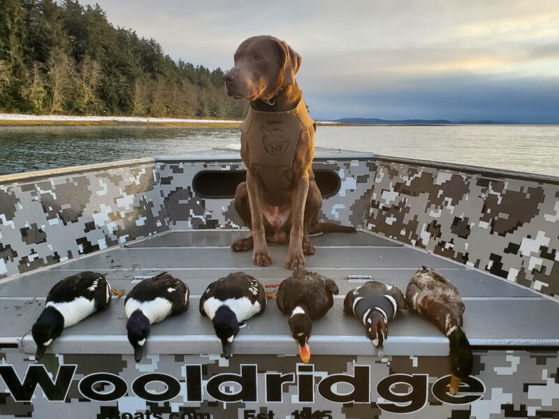 Alaska Sea Duck Hunting