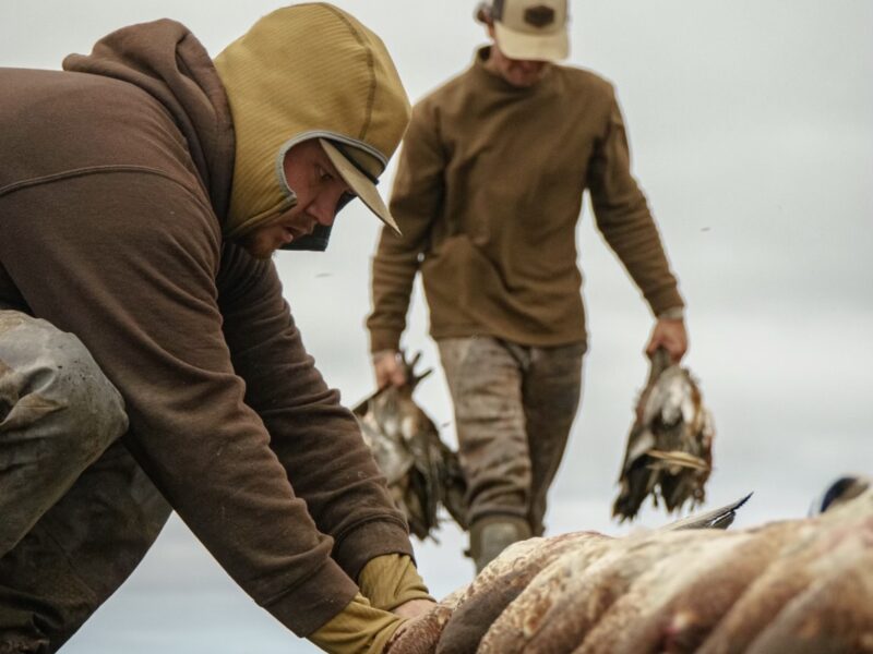 North Dakota Waterfowl Hunts