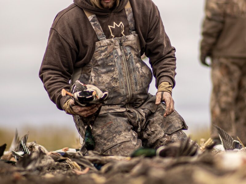 North Dakota Waterfowl Hunts