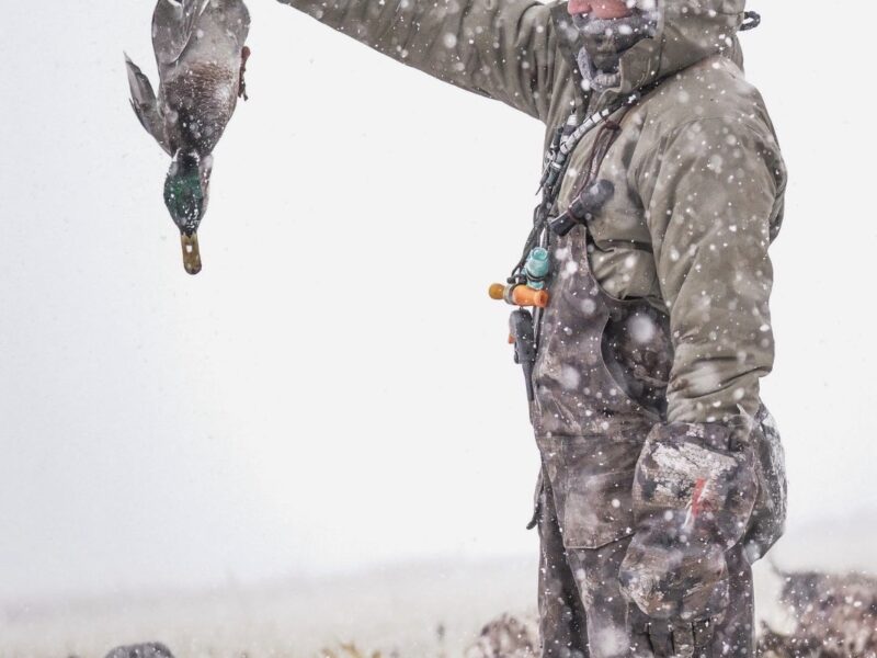 North Dakota Waterfowl Hunts