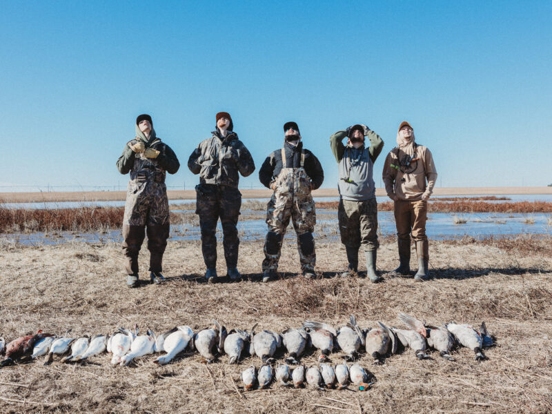 Texas Sandhill Crane & Waterfowl Hunts / Burning Sky Outfitters