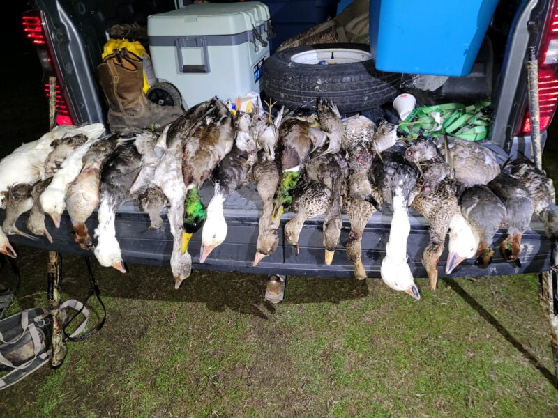 Fully Guided Arkansas Waterfowl Hunts | Uekman Guide Service