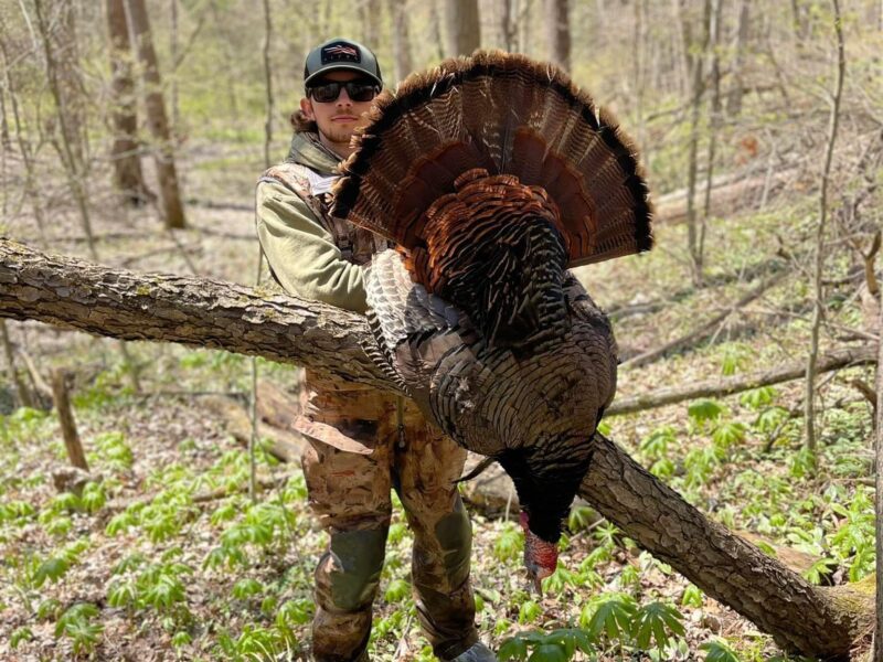 Michigan Turkey Hunts | Burning Sky Outfitters