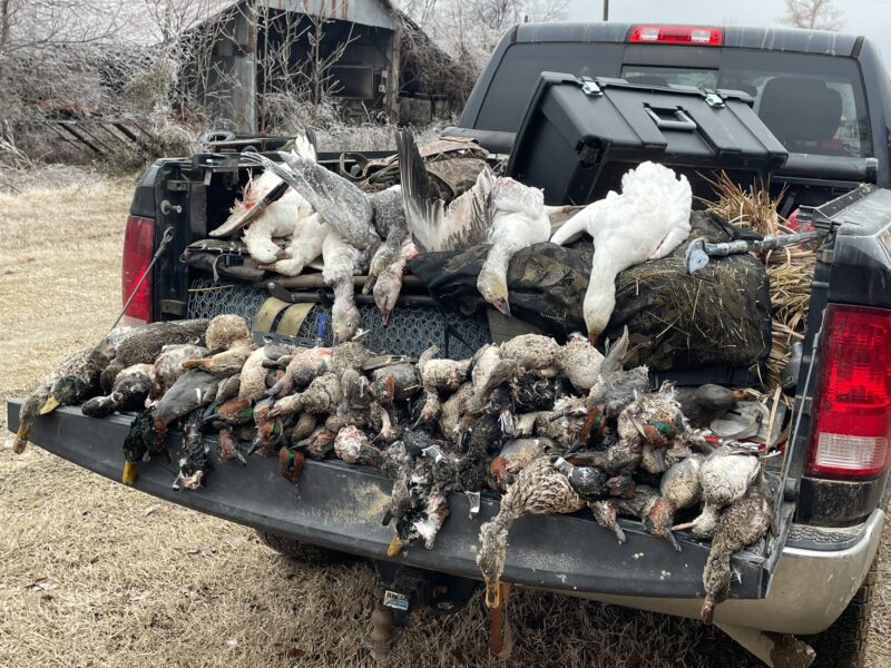 Fully Guided Arkansas Waterfowl Hunts | Uekman Guide Service