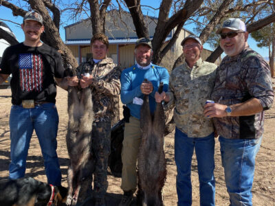 Arizona Javelina Hunt