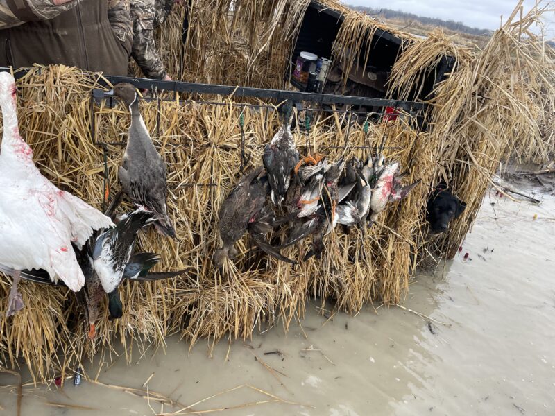 Fully Guided Arkansas Waterfowl Hunts | Uekman Guide Service