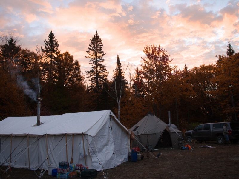 6 Day Canada Black Bear Hunt