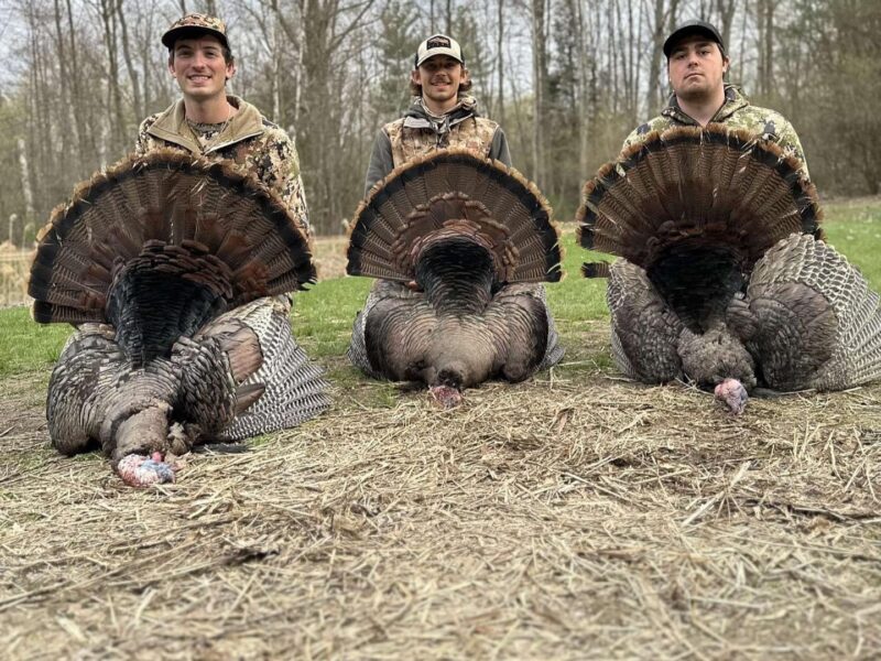 Michigan Turkey Hunts | Burning Sky Outfitters