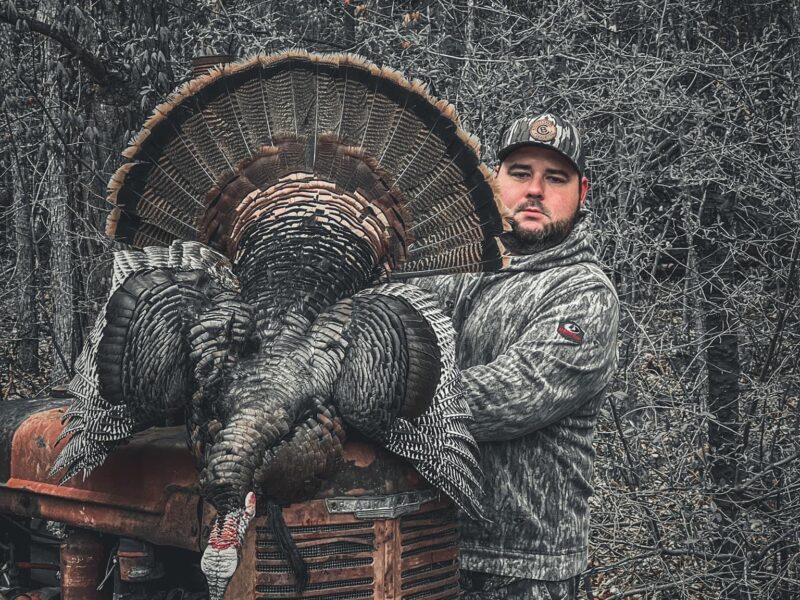 Michigan Turkey Hunts | Burning Sky Outfitters