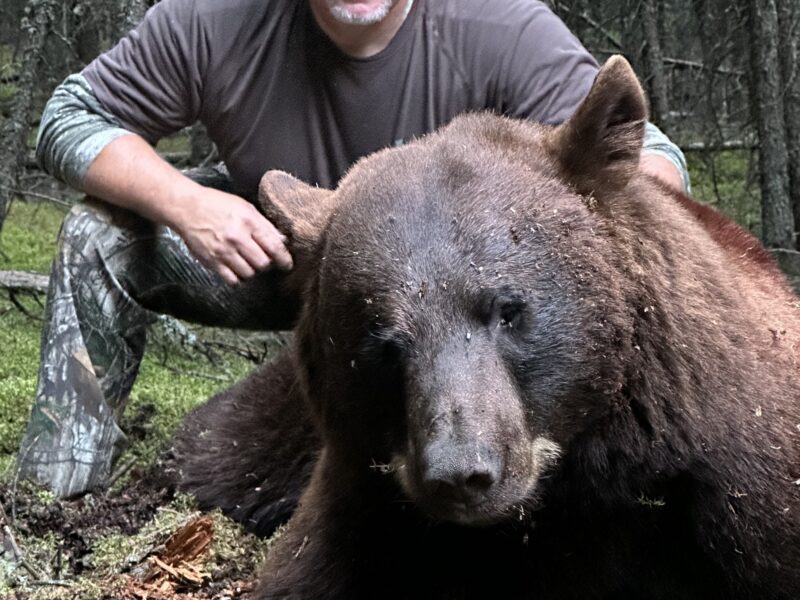 6 Day Canada Black Bear Hunt