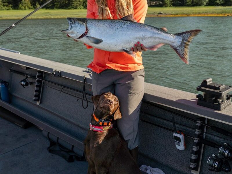 Alaska Salmon Fishing Charter