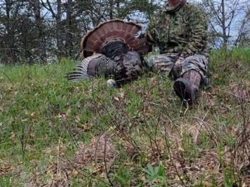 Wisconsin Guided Turkey Hunt