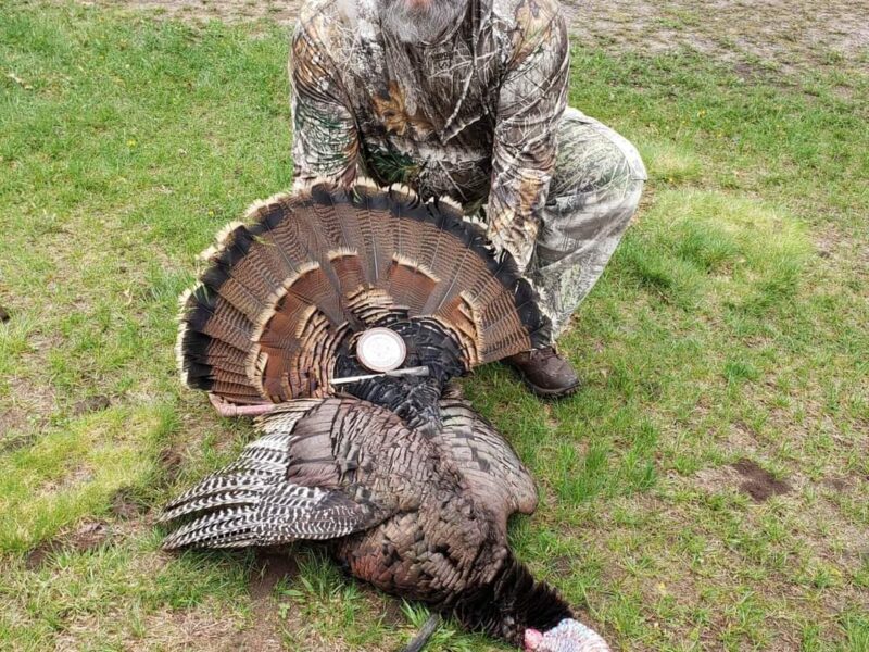 Wisconsin Guided Turkey Hunt