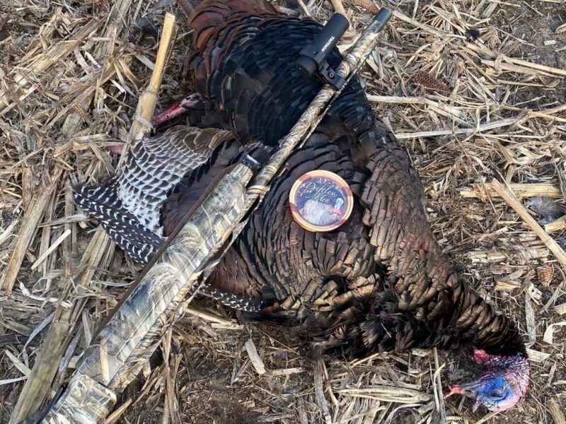 Wisconsin Guided Turkey Hunt