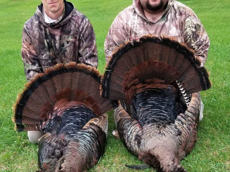 Wisconsin Guided Turkey Hunt