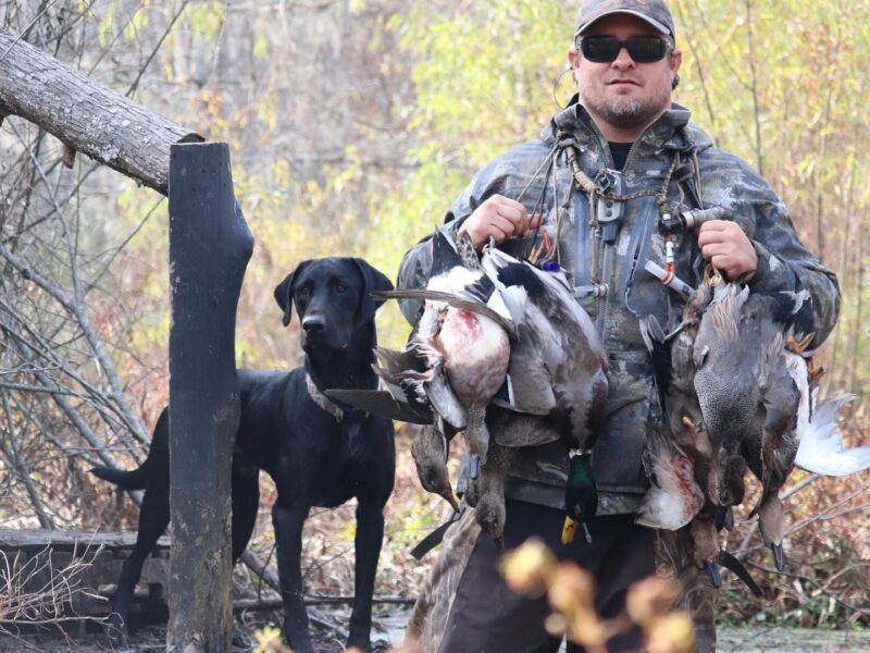 Louisiana Duck Hunt