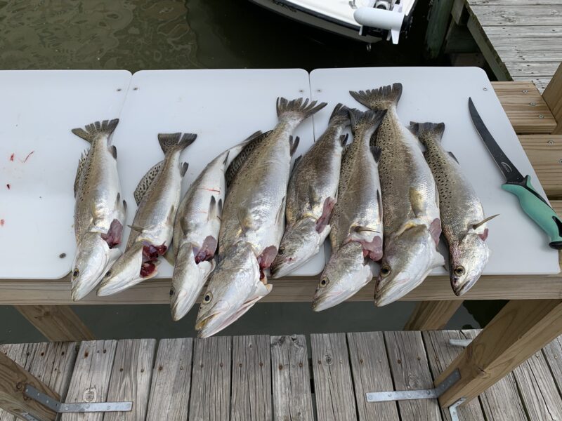 Louisiana Inshore Fishing