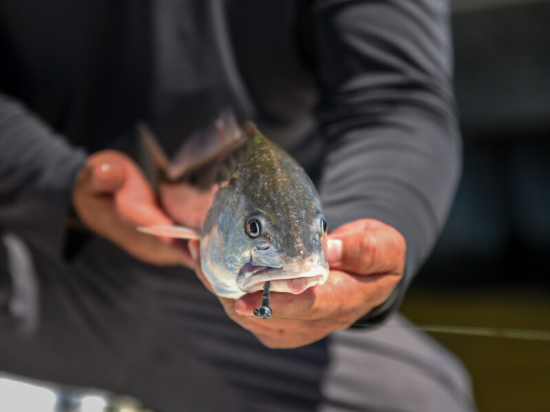 Louisiana Inshore Fishing