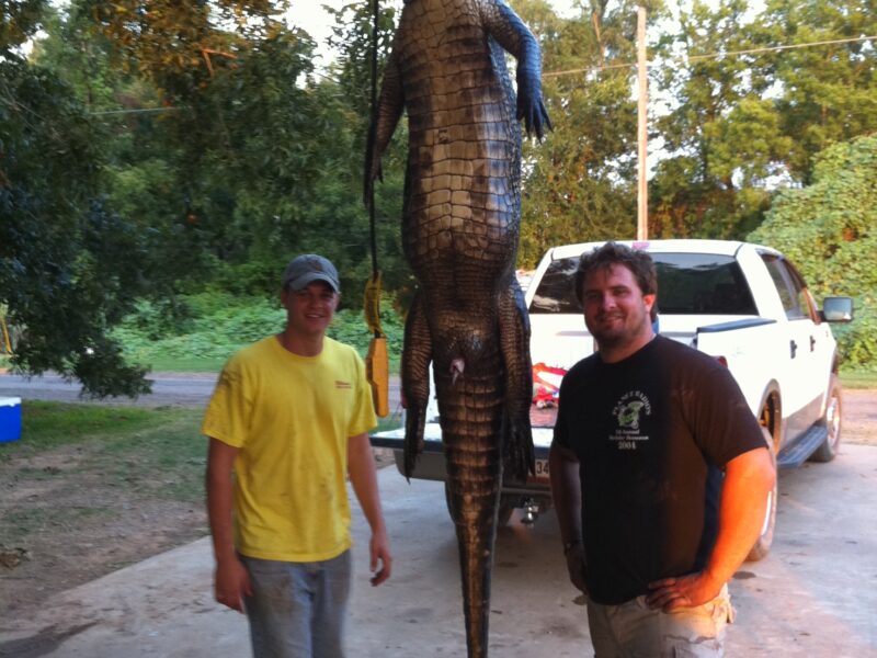 Louisiana Alligator Hunt