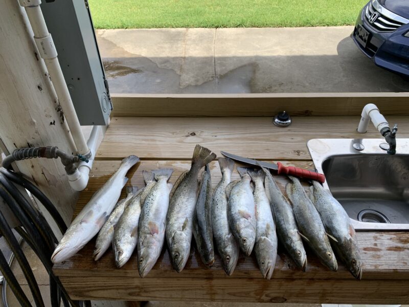 Louisiana Inshore Fishing