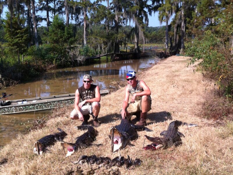 Louisiana Alligator Hunt