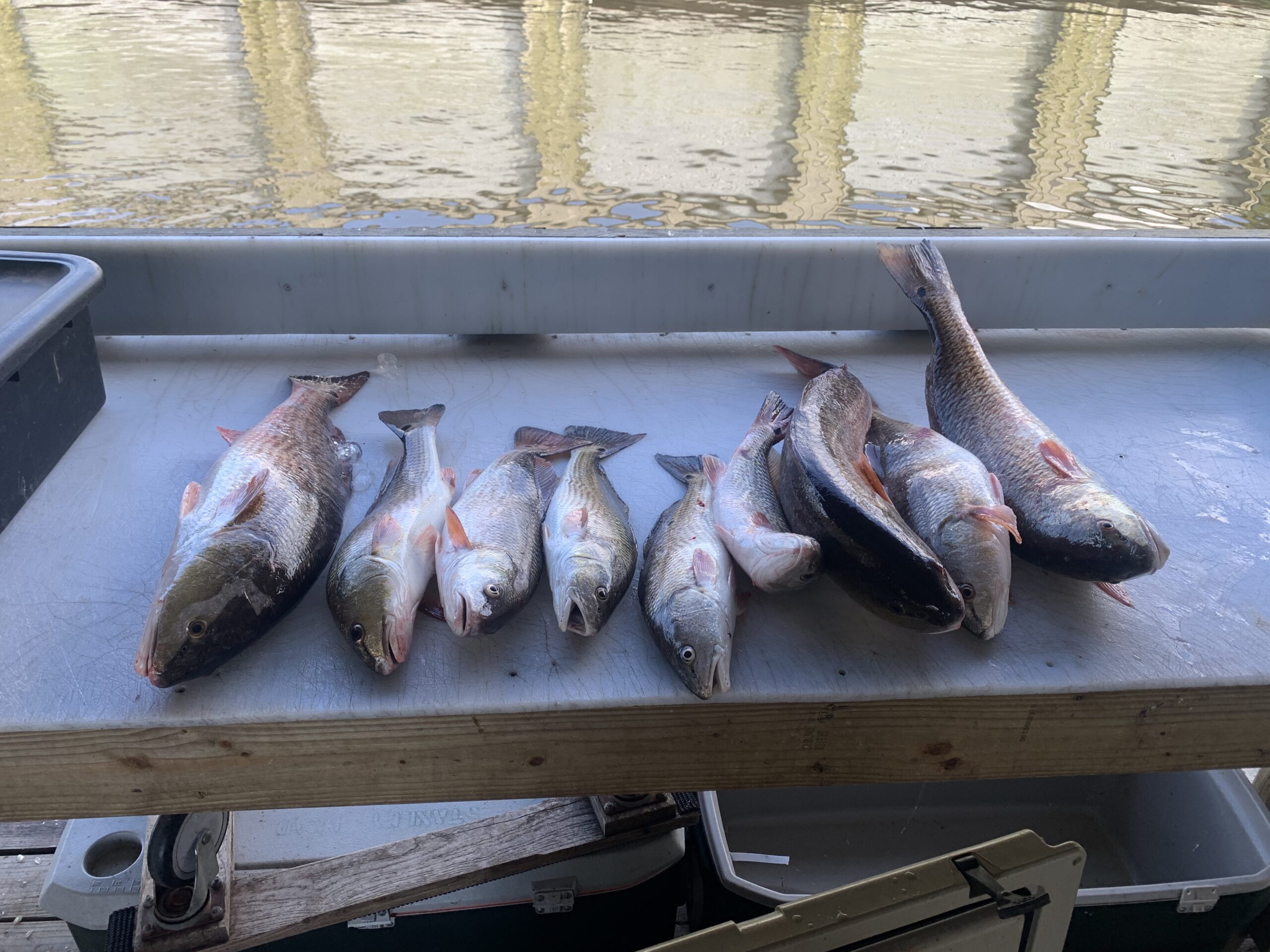 Louisiana Inshore Fishing