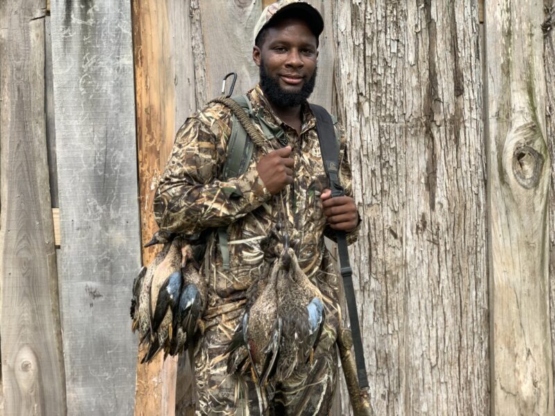 Louisiana Early Season Teal