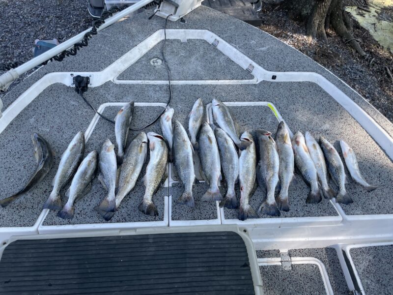 Louisiana Inshore Fishing