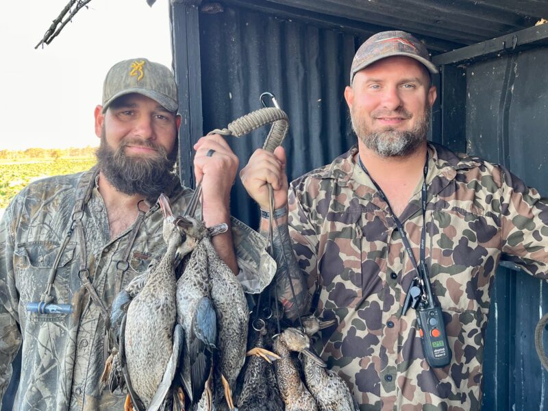 Louisiana Early Season Teal