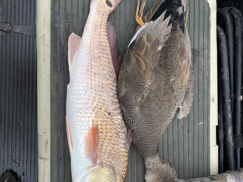 Louisiana Inshore Fishing