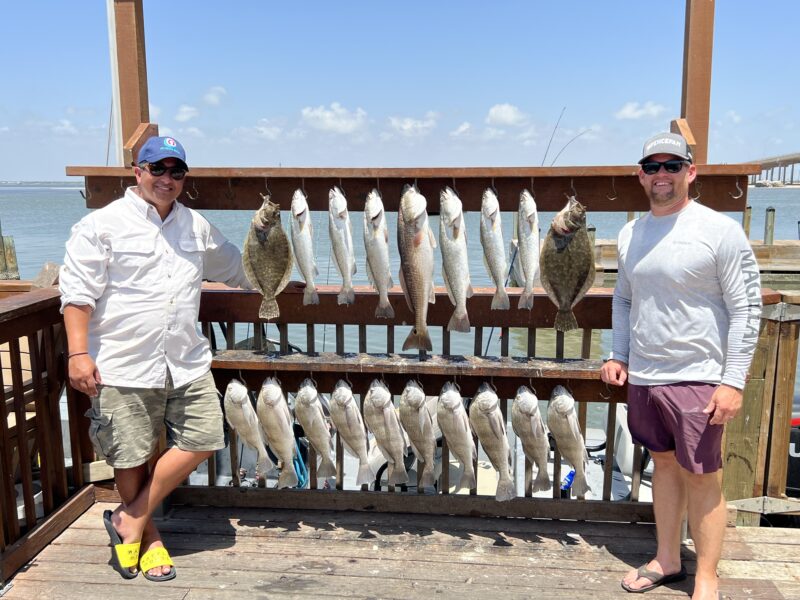 Inshore Bay Fishing Trip