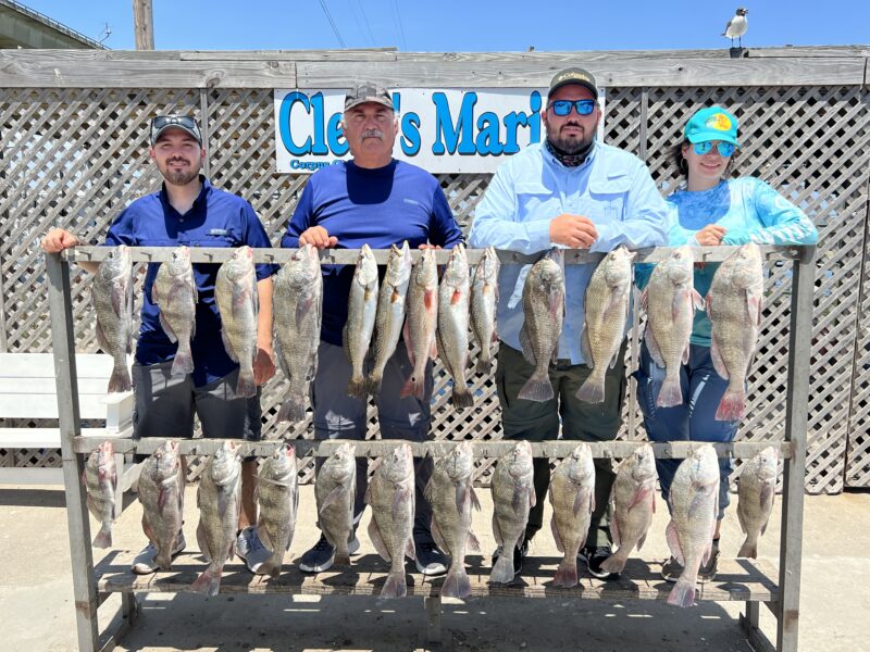 Inshore Bay Fishing Trip