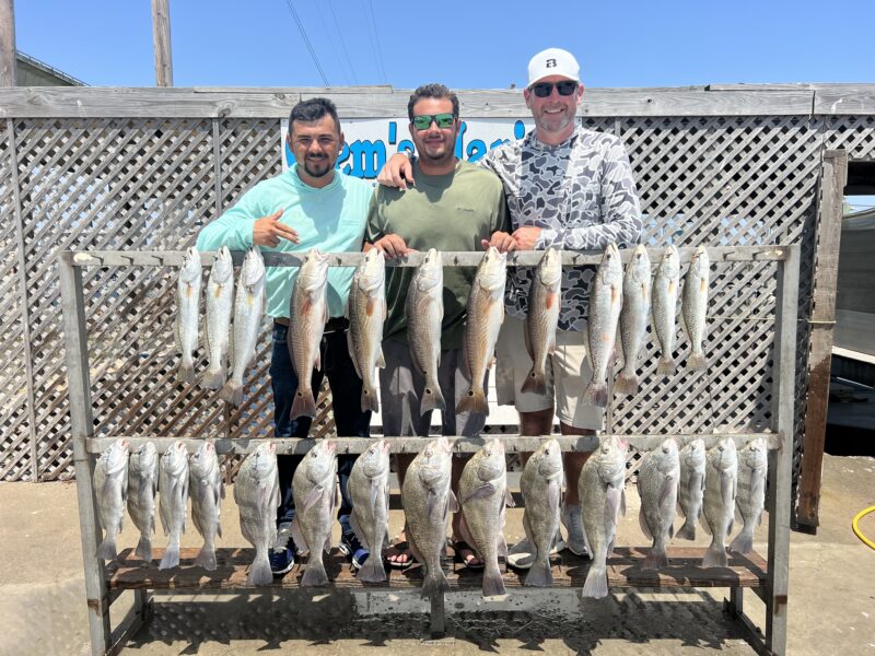 Inshore Bay Fishing Trip