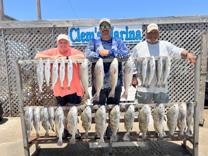 Inshore Bay Fishing Trip