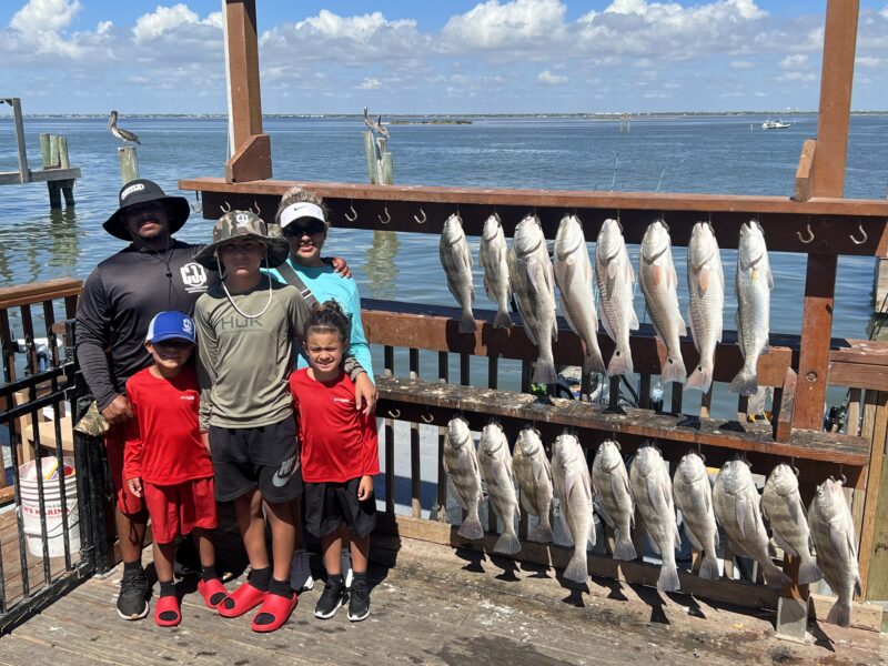 Inshore Bay Fishing Trip