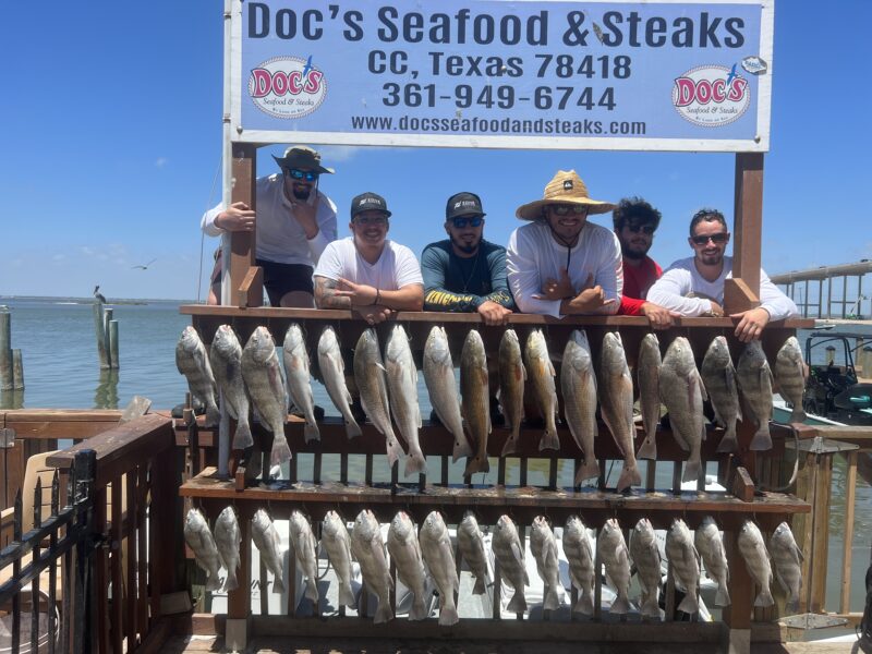 Inshore Bay Fishing Trip