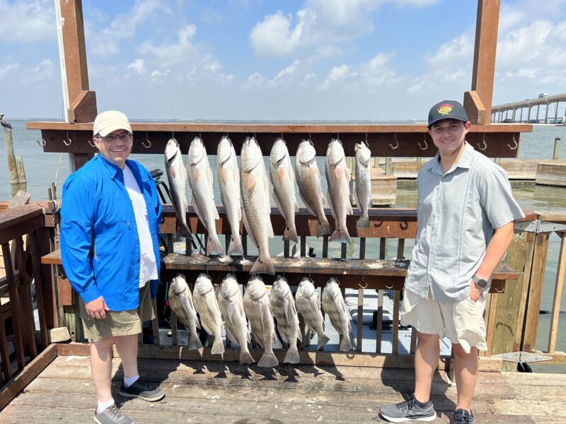 Inshore Bay Fishing Trip