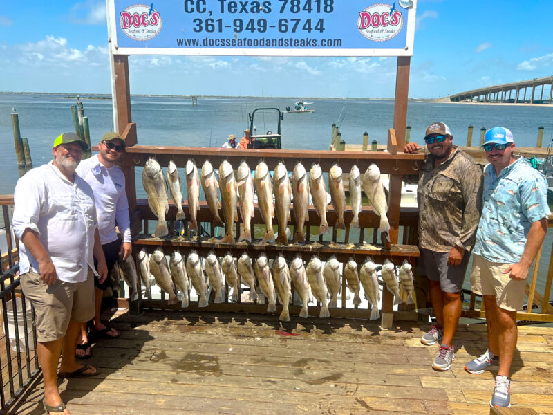 Inshore Bay Fishing Trip