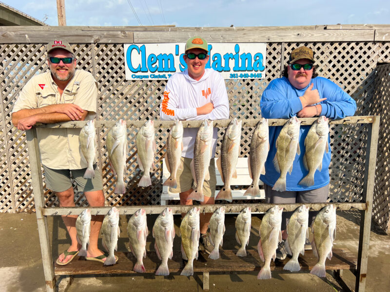 Inshore Bay Fishing Trip