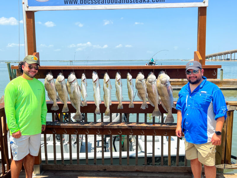 Inshore Bay Fishing Trip