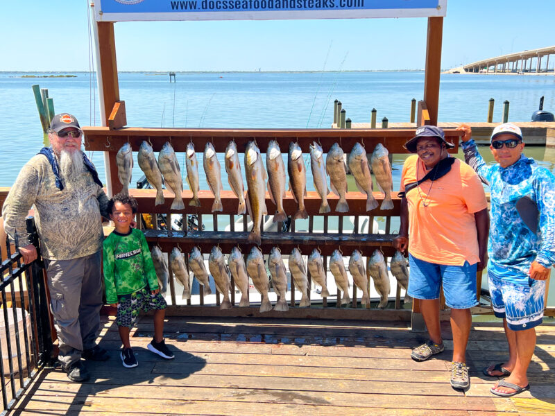 Inshore Bay Fishing Trip