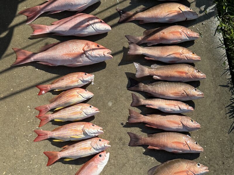 Flared Fins Florida Fishing Charter