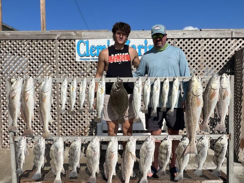 Inshore Bay Fishing Trip